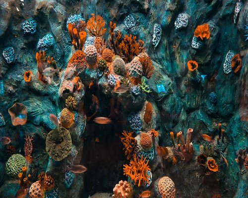 Preview of the fictional Coral Puzzle Passage exploration game